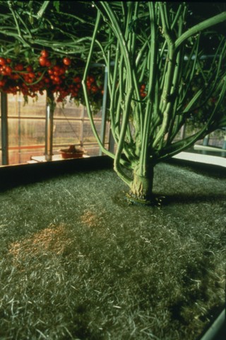a0009.jpg