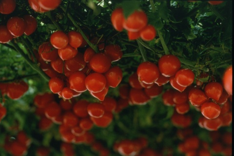 a0010.jpg